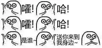 嚯哈！嚯哈！是谁，送你来到我身边！