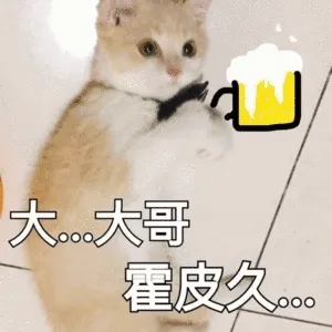 大。大哥霍皮久