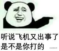 听说飞机又出事了，是不是你打的