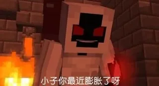 我的世界+反迷你