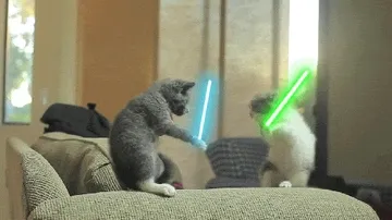 小猫玩光剑!