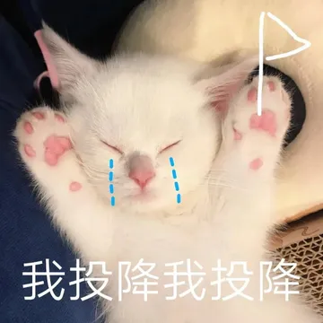 我投降我投降