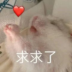 求求了