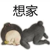 想家