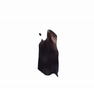 尖叫黑猫抓狂表情包gif