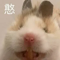憨