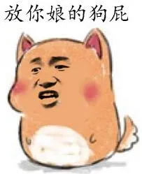 放你娘的狗屁！