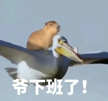 爷下班了！(水豚表情包)
