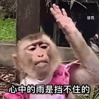 惩罚心中的雨是挡不住的(吗喽表情包)