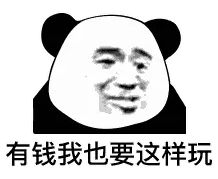 有钱我也要这样玩