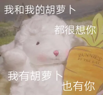 我和我的胡萝卜都很想你