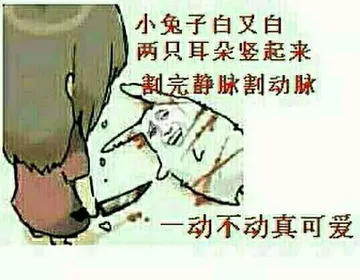 小兔子白又白，两只耳朵竖起来，割完静脉割动脉，一动不动真可爱