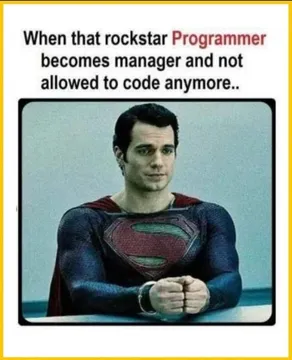 When A Rockstar Programmer Becomes Manager...