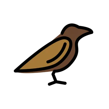 鸟