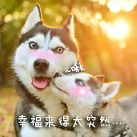 幸福来得太突然！