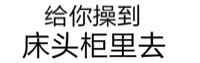 给你操到床头柜里去（文字表情）