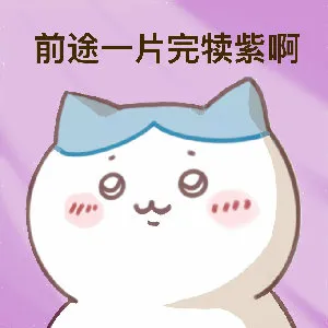 前途一片完犊紫啊