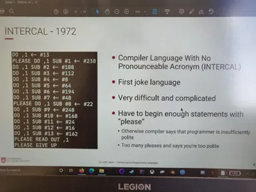 This programming language