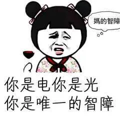 媽的智障，你是电你是光你是唯一的智障