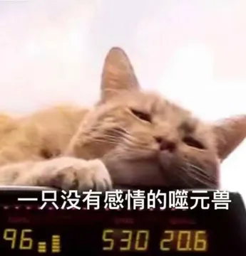 一直没有感情的噬元兽