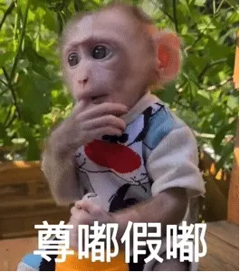 尊嘟假嘟(猴子表情包)