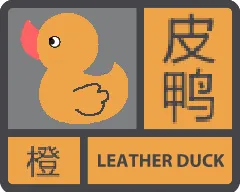 皮鸭橙