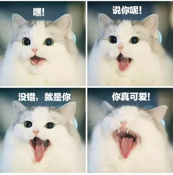 嘿!说你呢!没错,就是你你真可爱!
