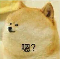 嗯？（doge）