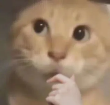 耄耋疑惑