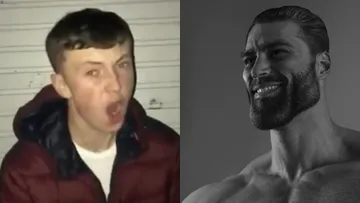 average fan vs average enjoyer
