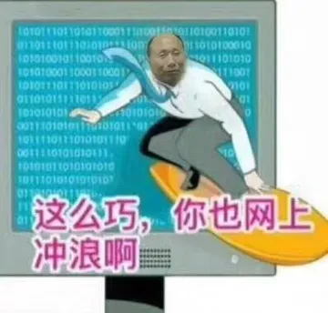 这么巧，你也网上冲浪啊！