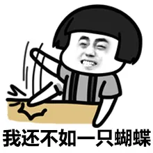 我还不如一只蝴蝶