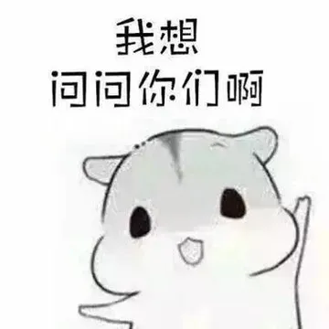仓鼠小猫