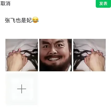 不管了张飞也是妃梗图表情包（相当炸裂）