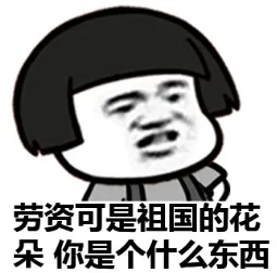 劳资可是祖国的花朵，你是个什么东西
