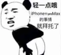 轻一点哦.iPhone11proMax的事情优拜托了