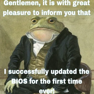 The BIOS Update Survival Announcement