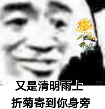 又是清明雨上 折菊寄到你身旁