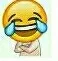 emoji笑哭了