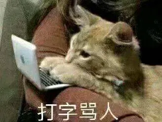 打字骂人