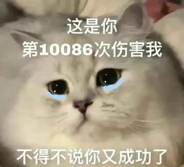 这是你第10086次伤害我不得不说你又成功了