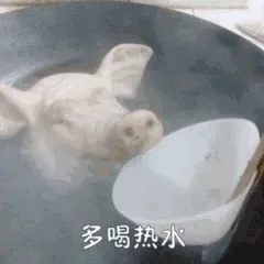 猪头多喝热水