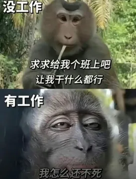 吗喽打工表情包