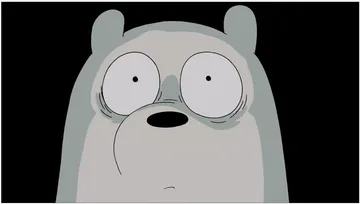 Ice Bear - Shocked