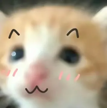 死对头小猫P图表情包
