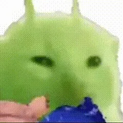外星小猫gif表情包