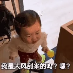 我是大风刮来的吗？嗯？