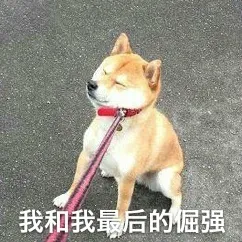 我和我最后的倔强