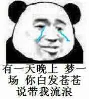 有一天晚上，梦一场，你白发苍苍说带我流浪！（熊猫人）