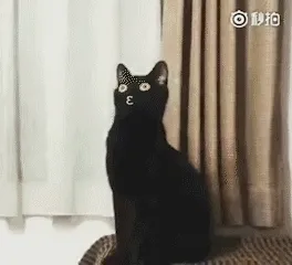 小心心爱心